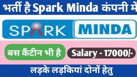 Spark Minda Company Vacancy